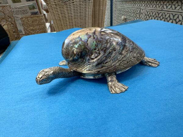 Turtle Paperweight