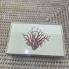 Glass Match Boxes - Image 3