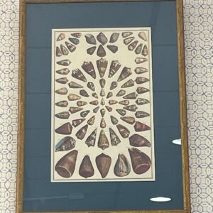 Prints
