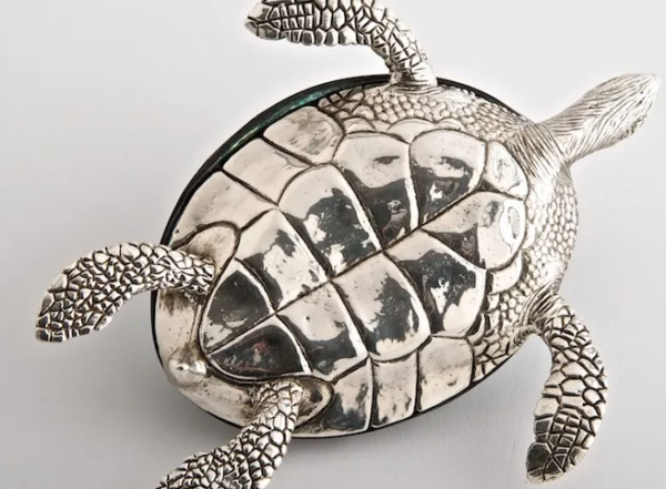 Georgina Turtle - Image 2