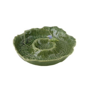Cinerária Chip and Dip