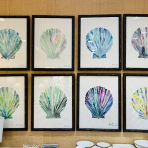 Assorted Shell Watercolor