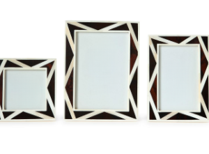 Tortoise Chevron Frames