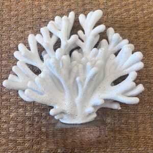 Decorative Corals